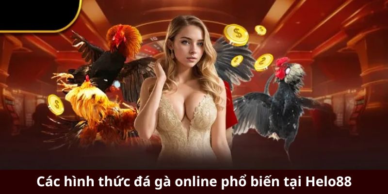 Đá gà cựa sắt hấp dẫn